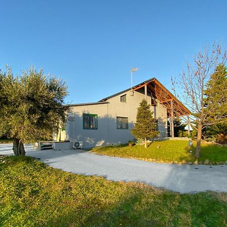 Olive Grove Konuk evi Anavyssos Dış mekan fotoğraf