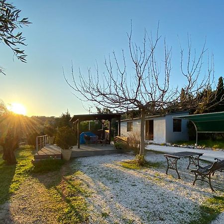 Olive Grove Konuk evi Anavyssos Dış mekan fotoğraf