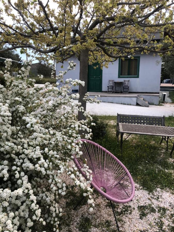 Olive Grove Konuk evi Anavyssos Dış mekan fotoğraf