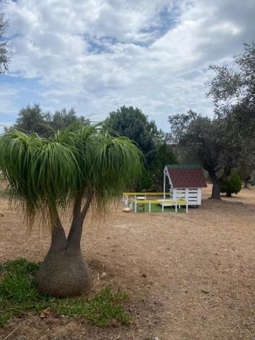 Olive Grove Konuk evi Anavyssos Dış mekan fotoğraf