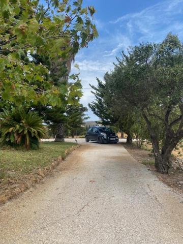 Olive Grove Konuk evi Anavyssos Dış mekan fotoğraf