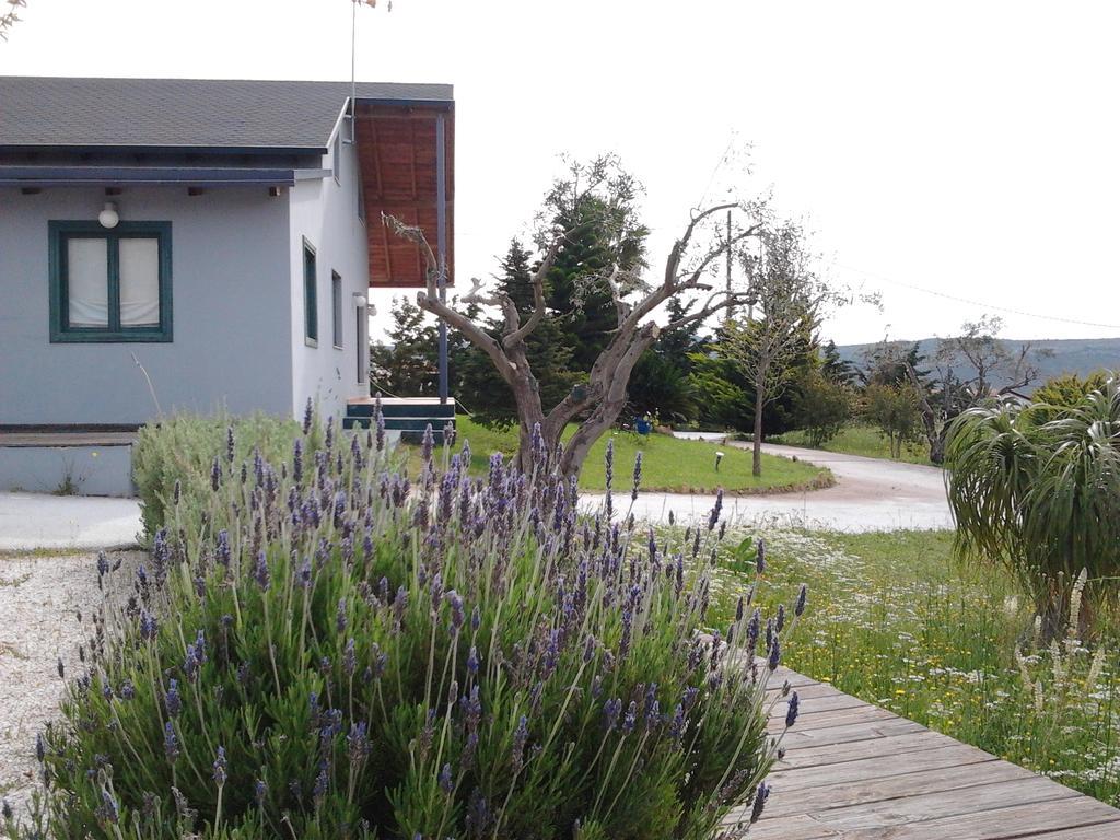 Olive Grove Konuk evi Anavyssos Dış mekan fotoğraf