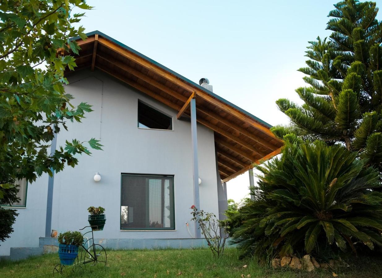 Olive Grove Konuk evi Anavyssos Dış mekan fotoğraf